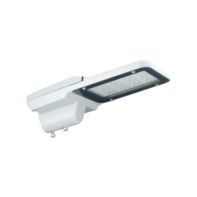 Utomhus IP66 vattentät PACIFIC LITE-serien LED gatubelysning